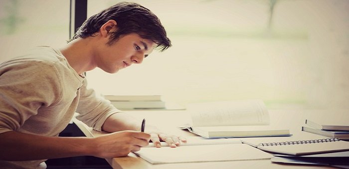 Essay